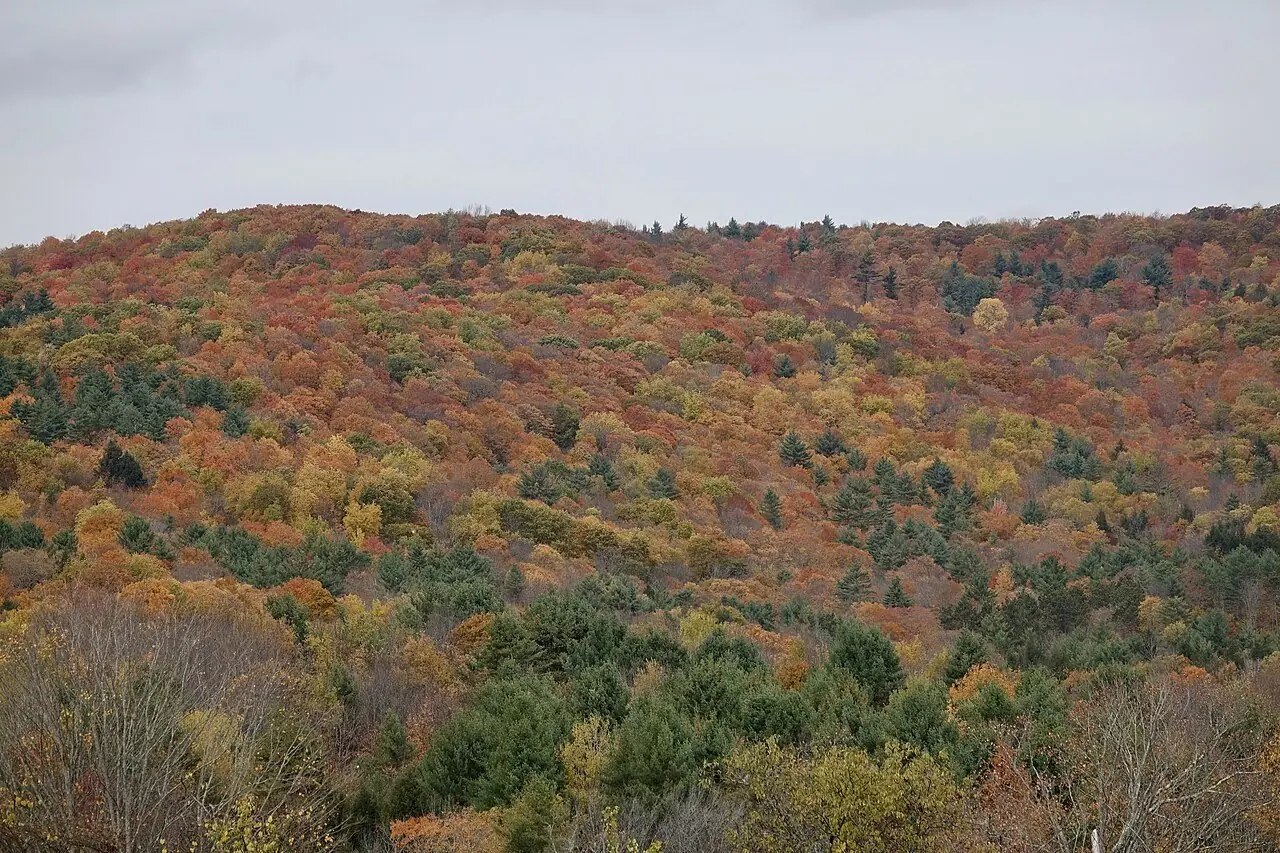Vermont