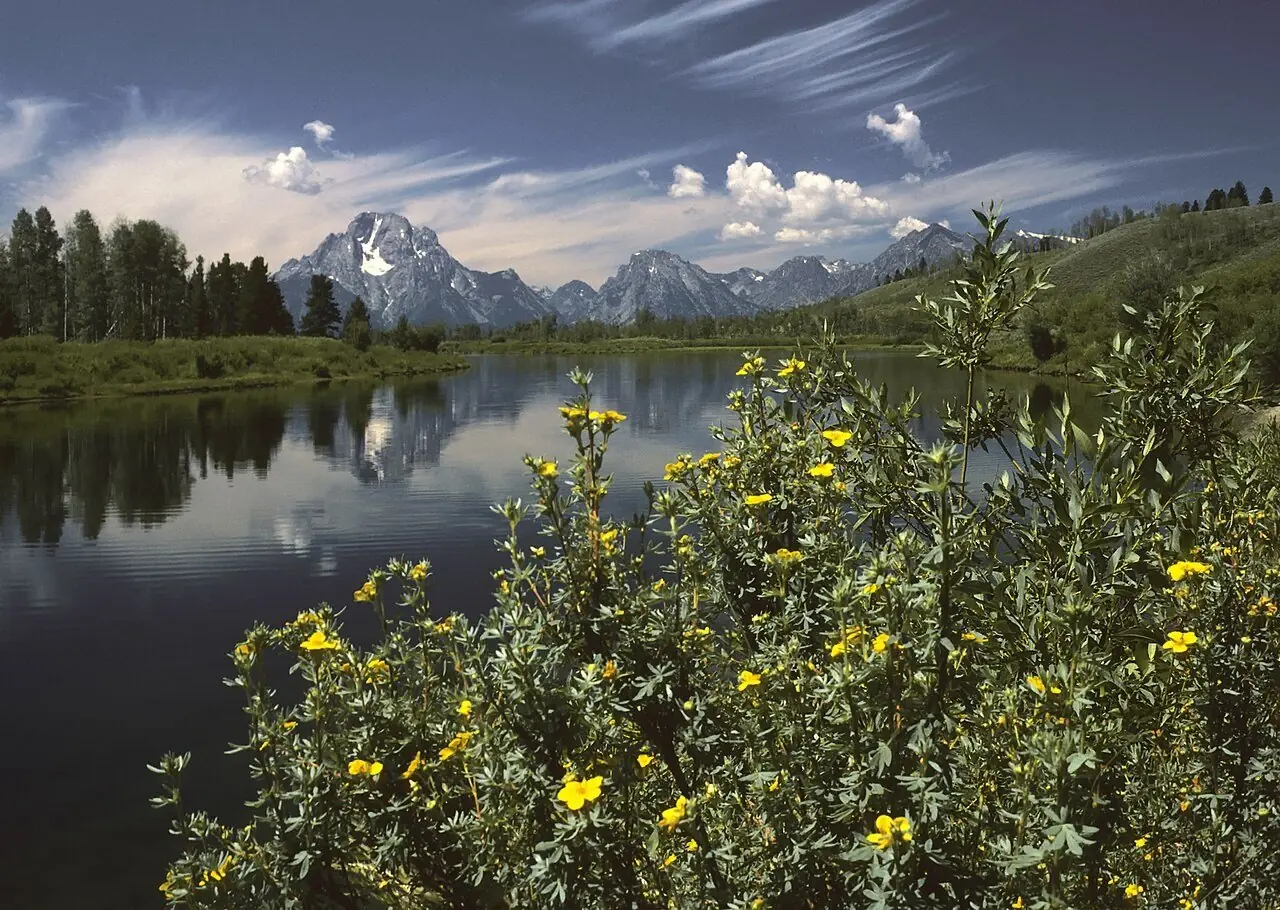 Wyoming